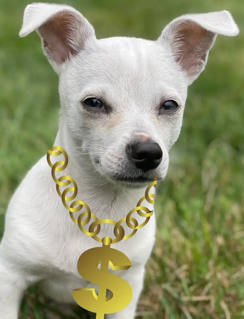 Livestream thumbnail