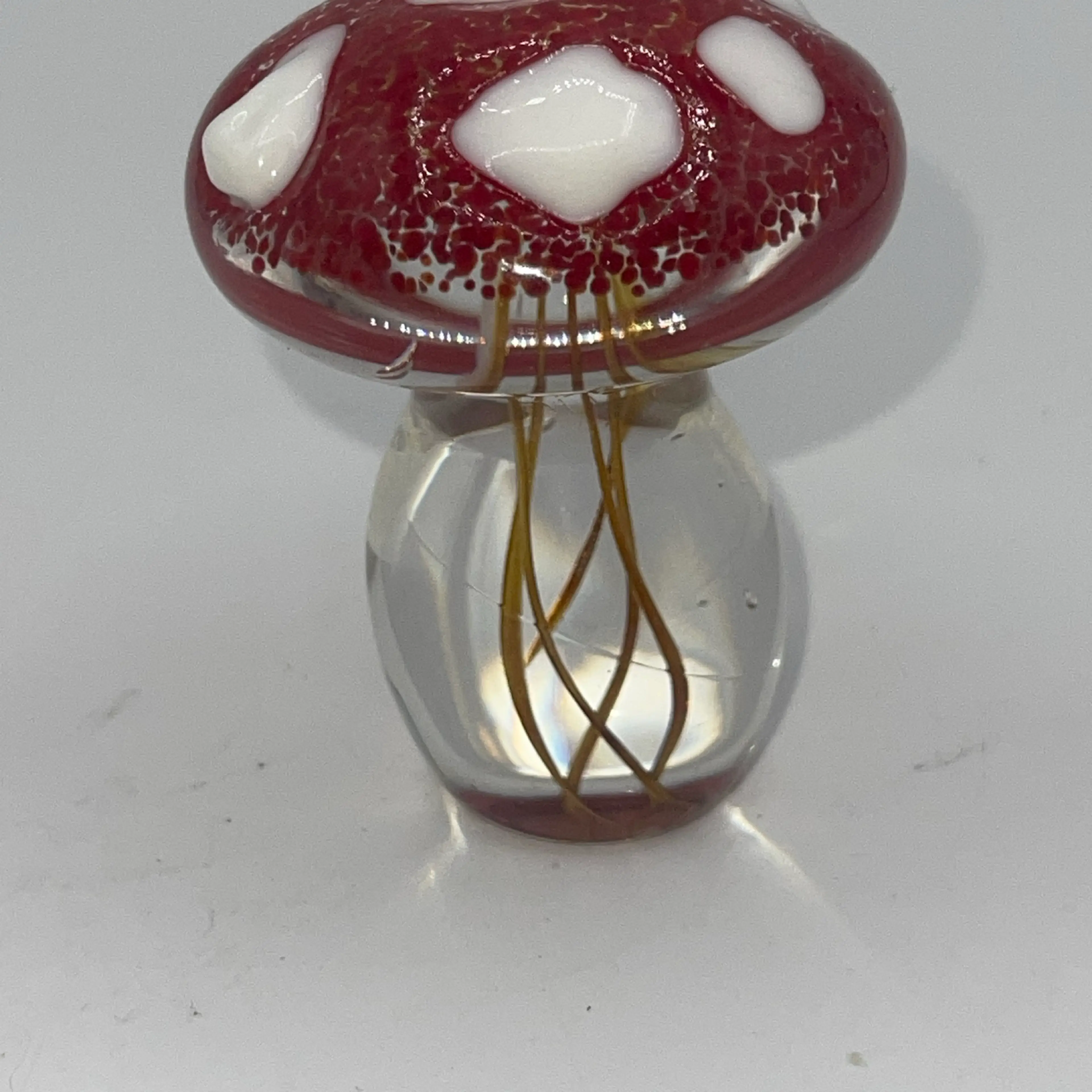 Image 4 of 5