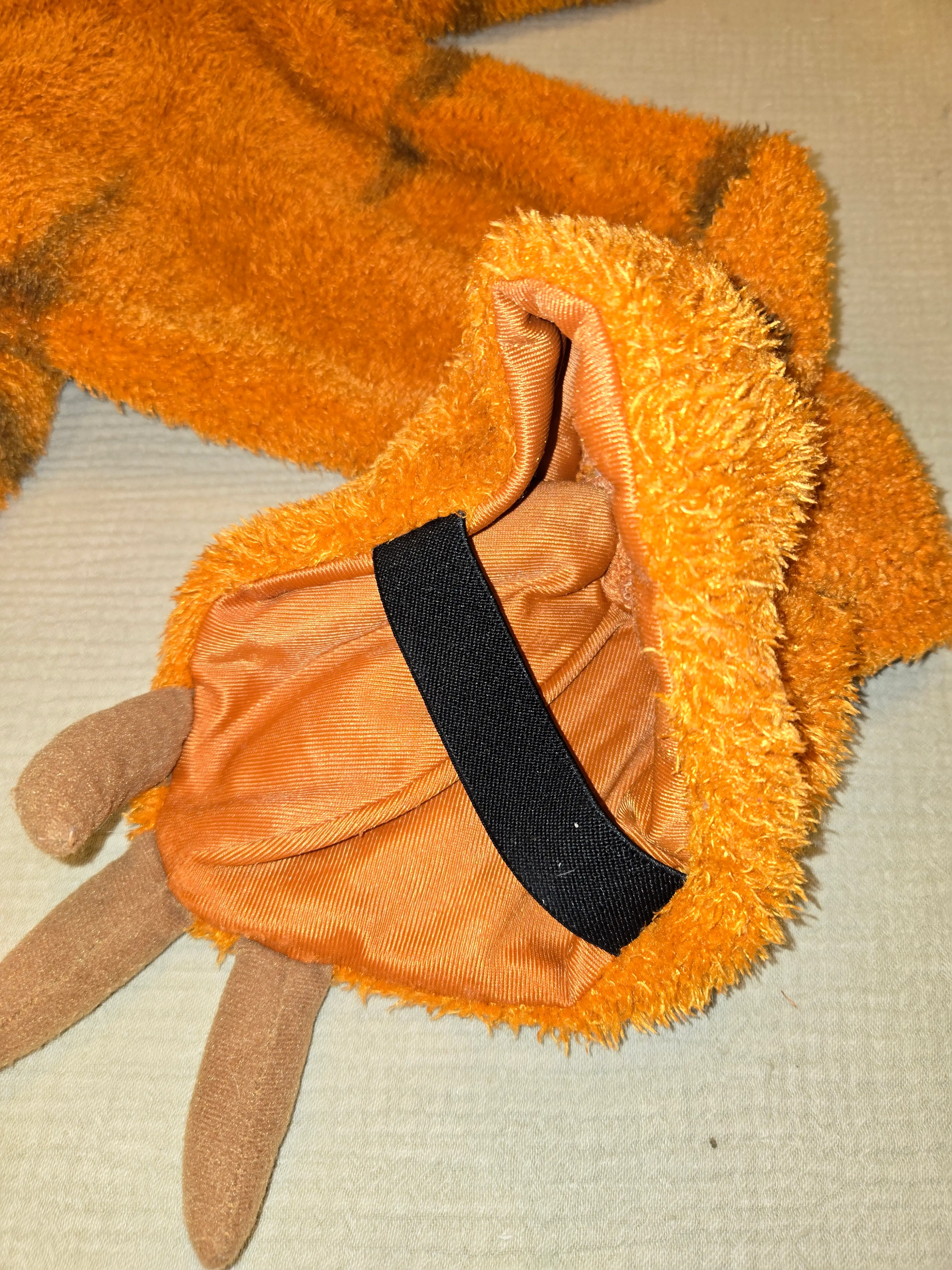 Image 3 of 10