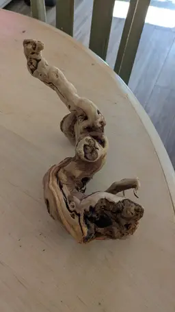 Driftwood Grapevine D2