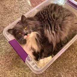 Free shipping out to $25