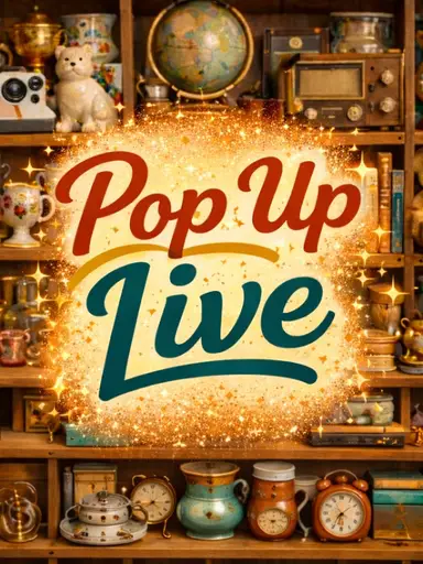 Kathy's Thrift Finds - POP UP !