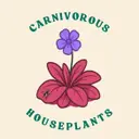 carnivoroushouseplants
