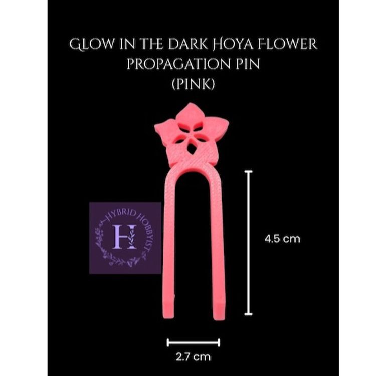Glow in the dark Hoya flower propagation pins (10 pack)