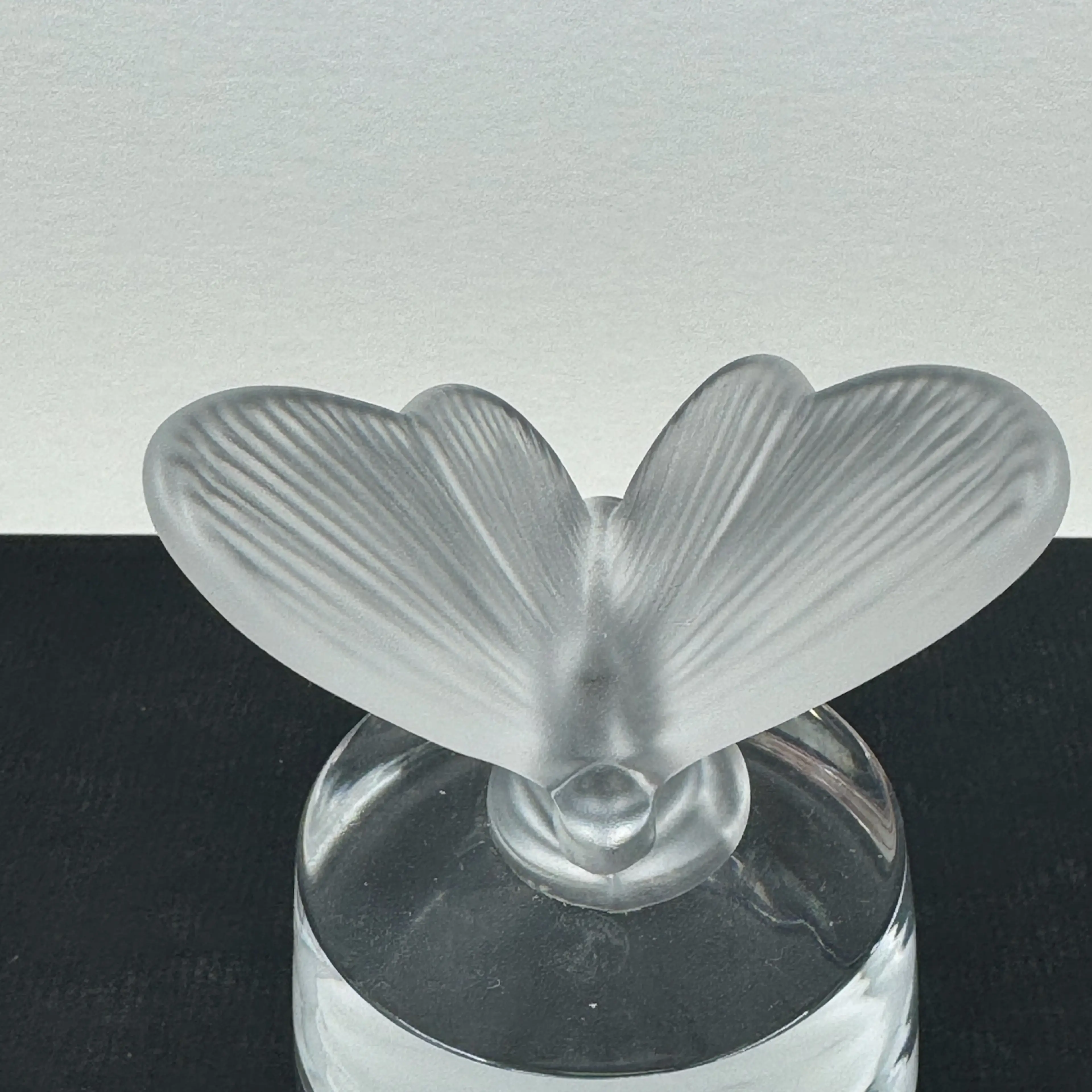 Image 2 of 5