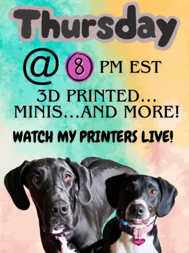 3D Printed Minis And More!! 