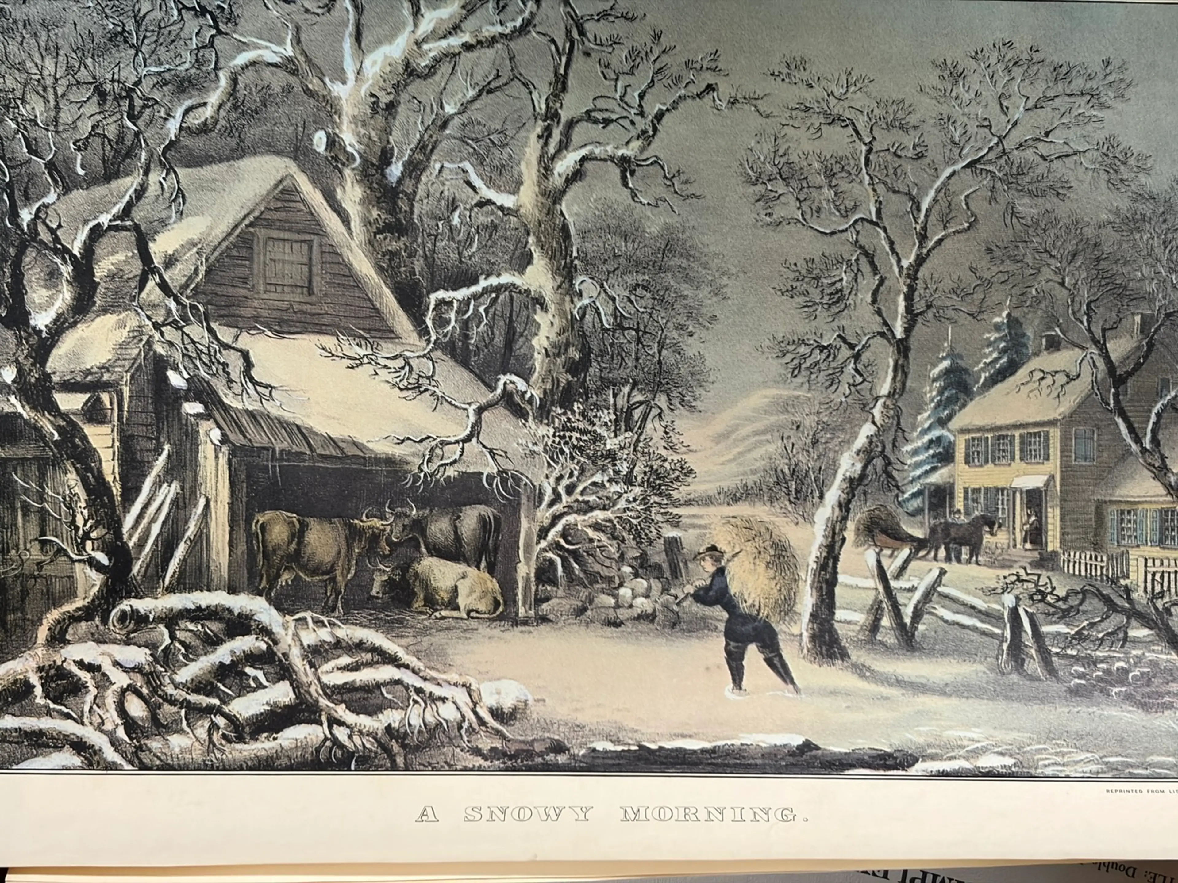 Image 2 of 12