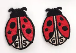 Girl Scouts Ladybug Patch Pin Lot of 2 NEW, unused