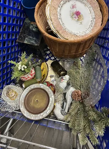 Goodwill Bins Finds!! 