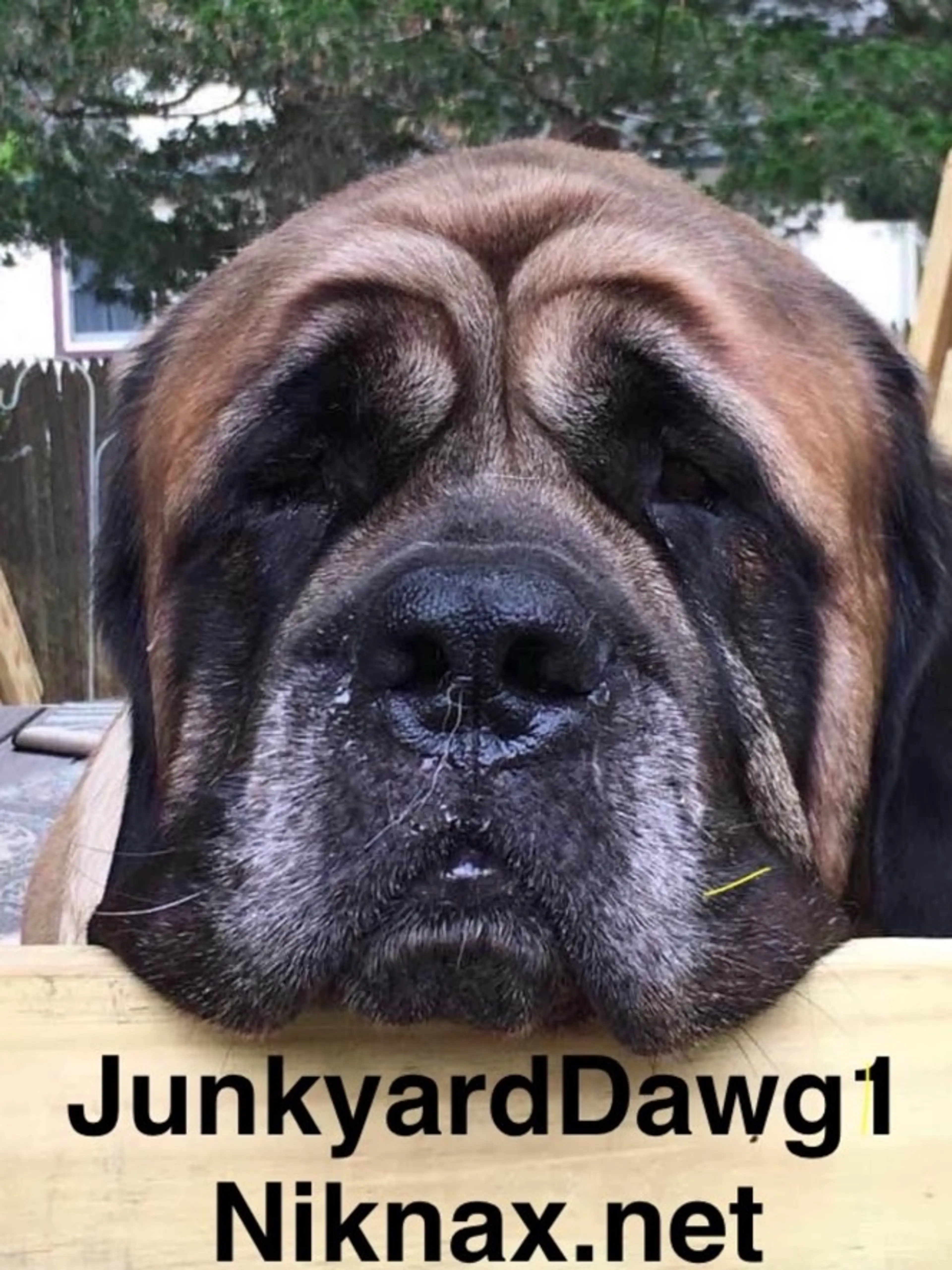 Sunday Morning This & That