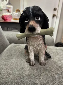 Adorable Dog With Bone