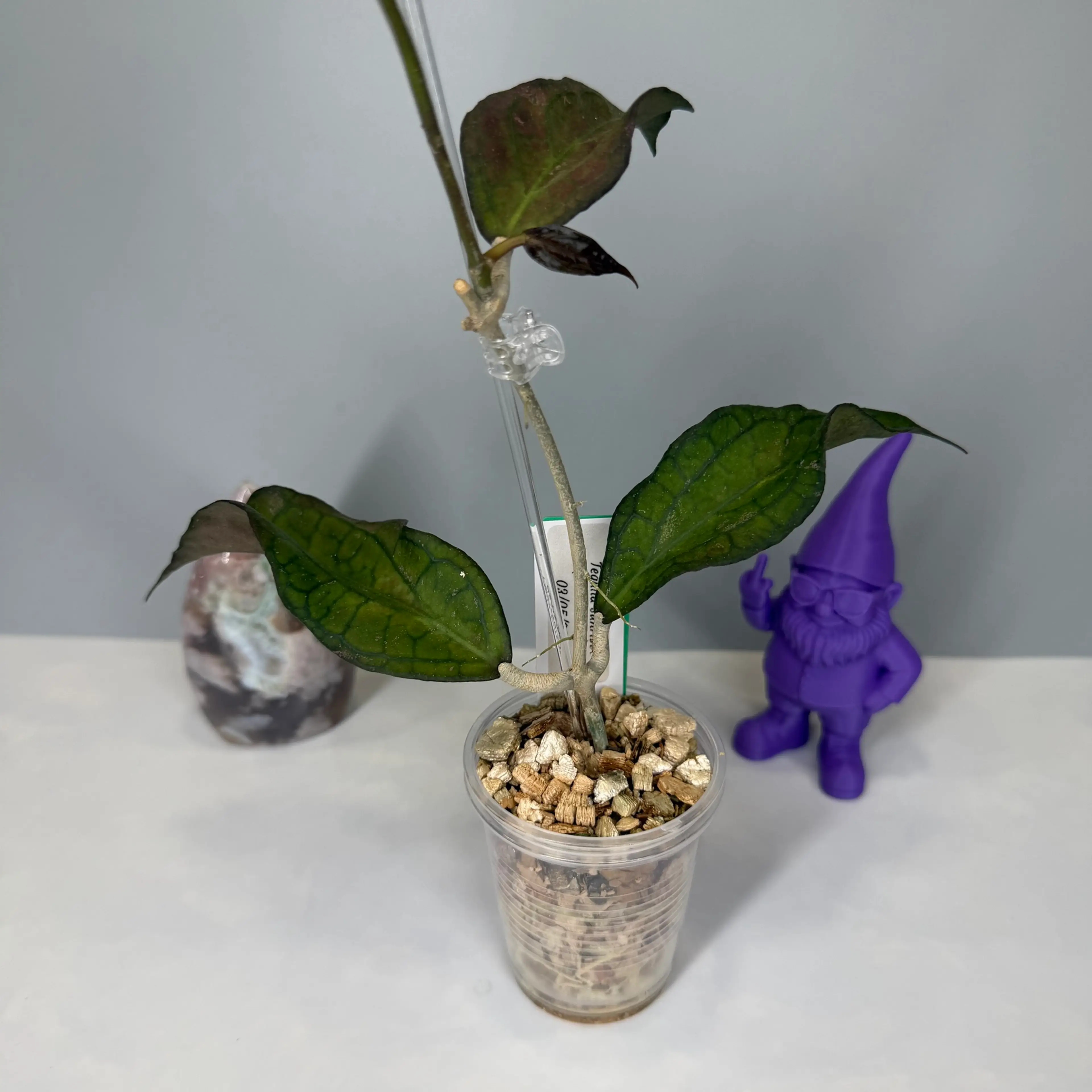 Image 2 of 4