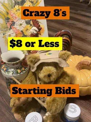All Auctions $8 Or Less 🧡🧡🧡