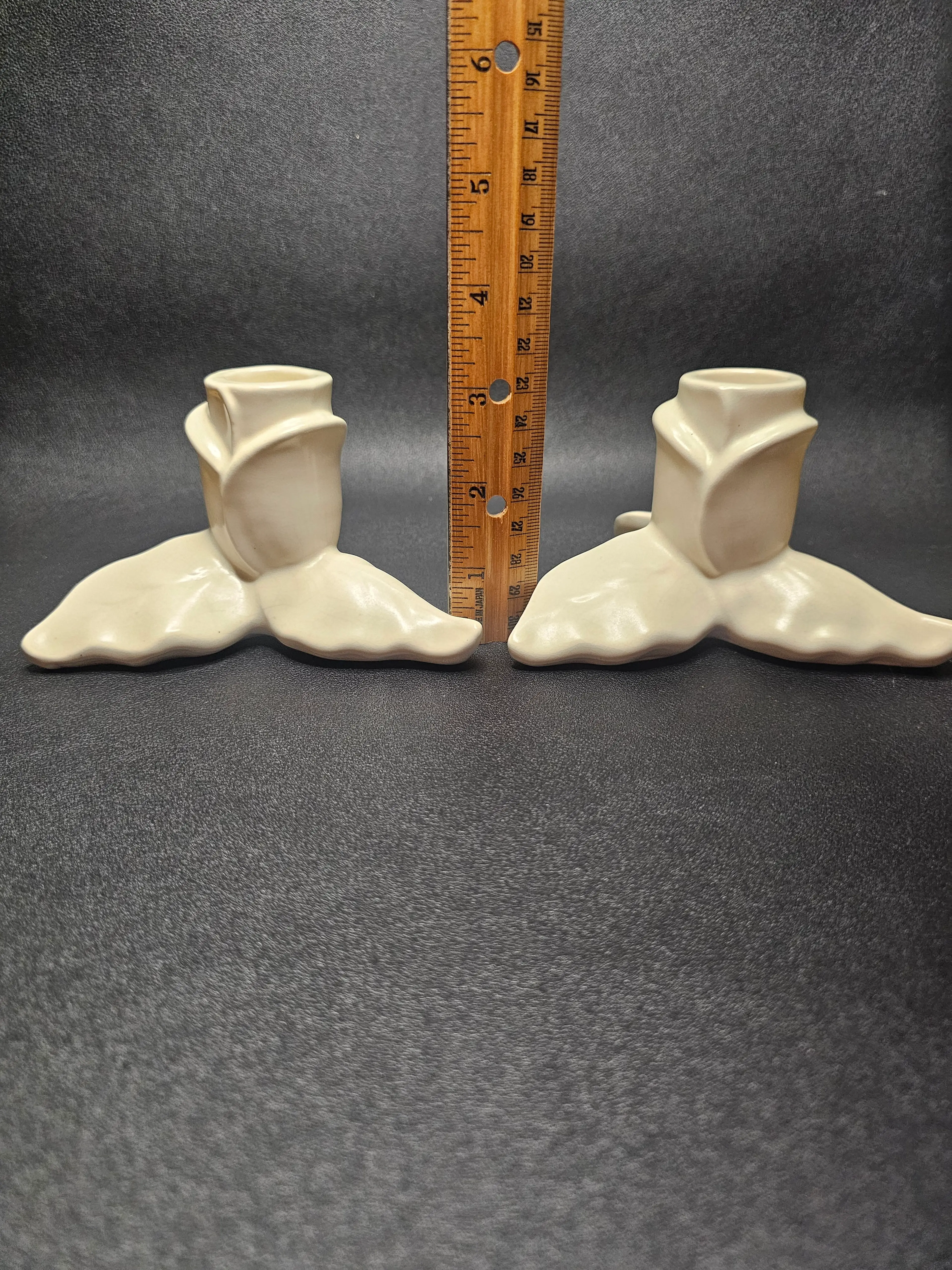 Image 5 of 12