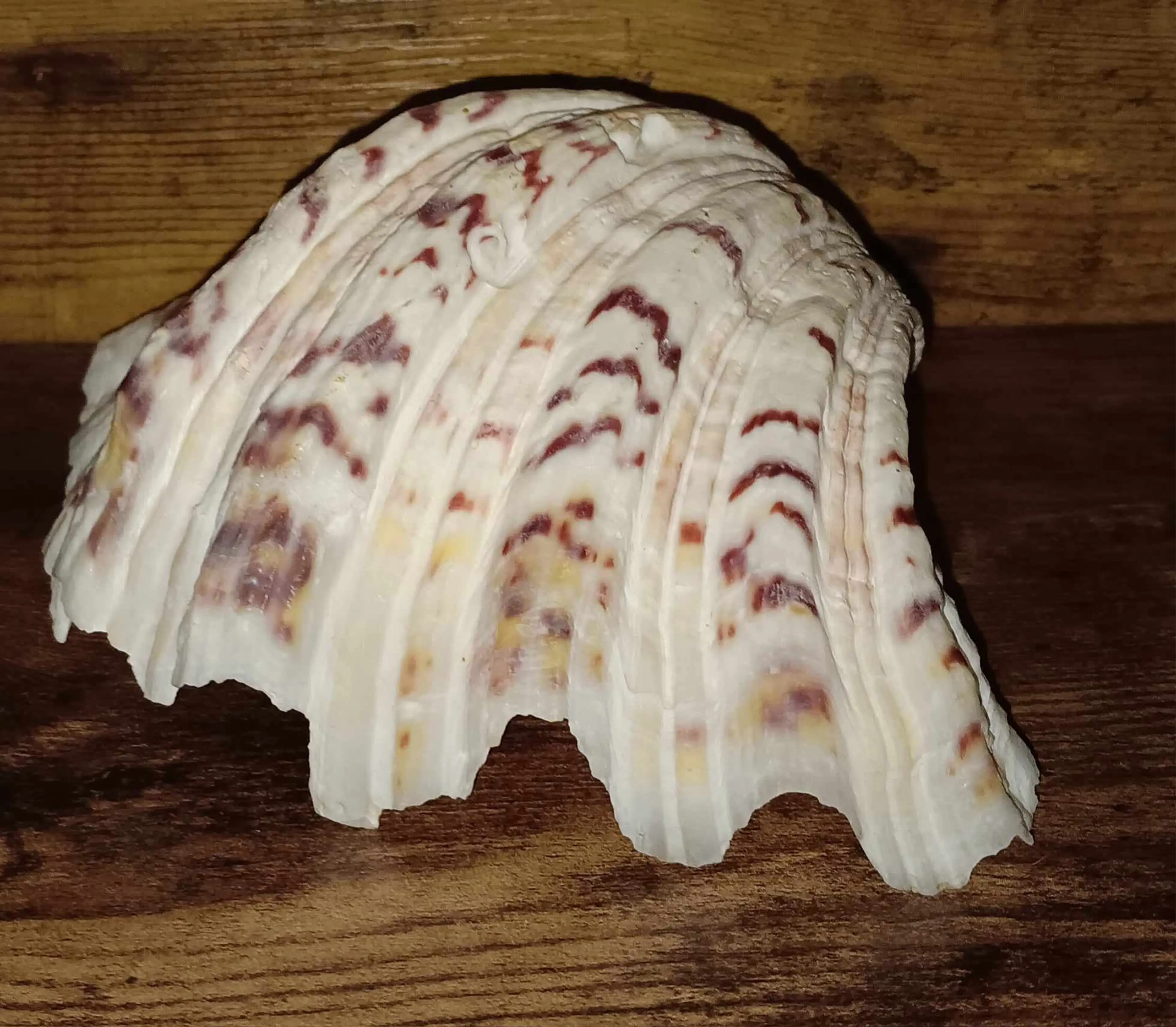 Image 2 of 3