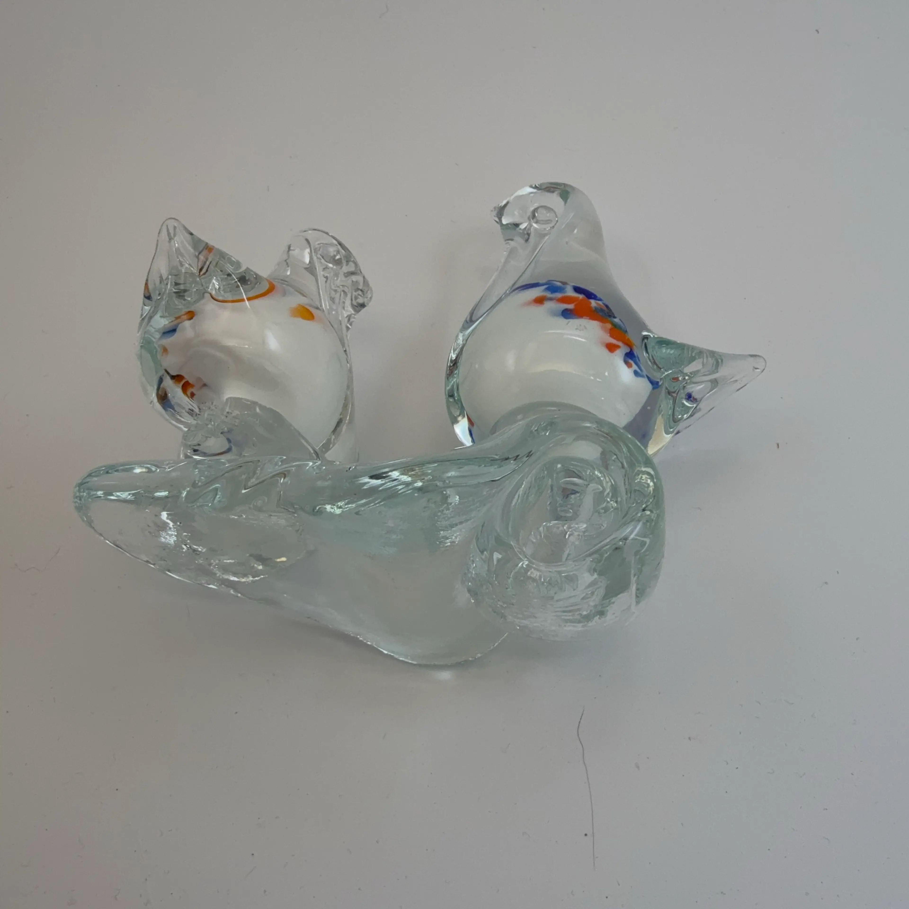 Image 5 of 5