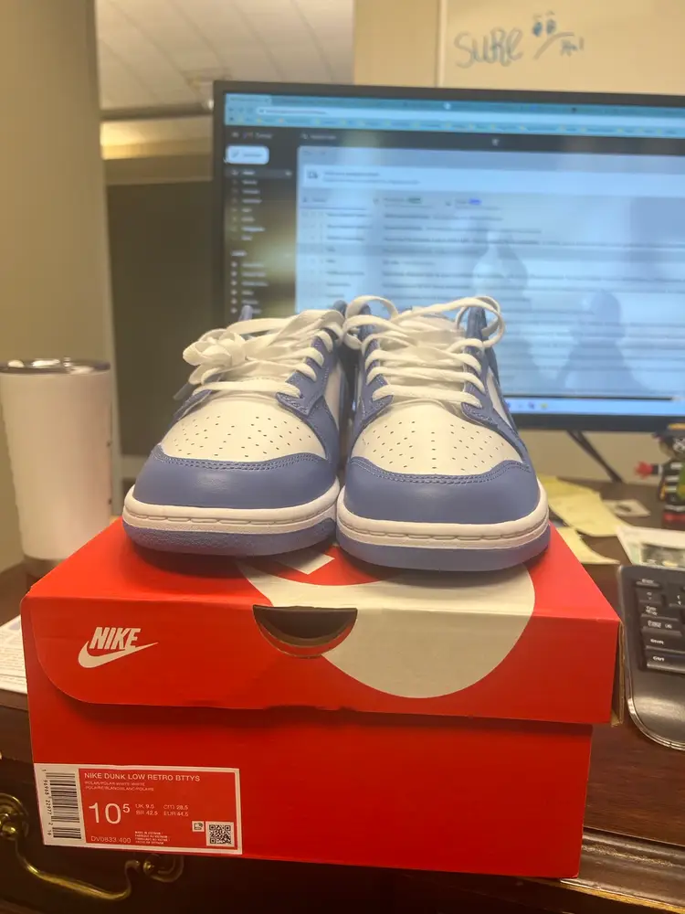 Nike Dunk Low Polar Blue