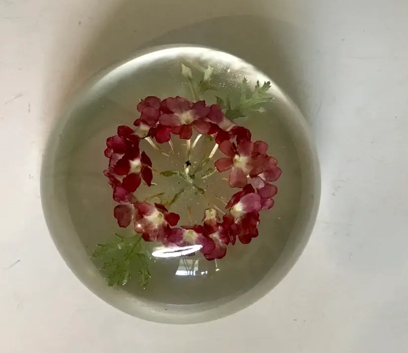 Paperweight With  Dried Flowers Signed Rolfe
