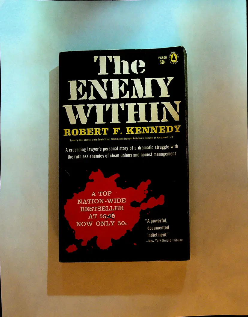 The Enemy Within by Robert F Kennedy Paperback