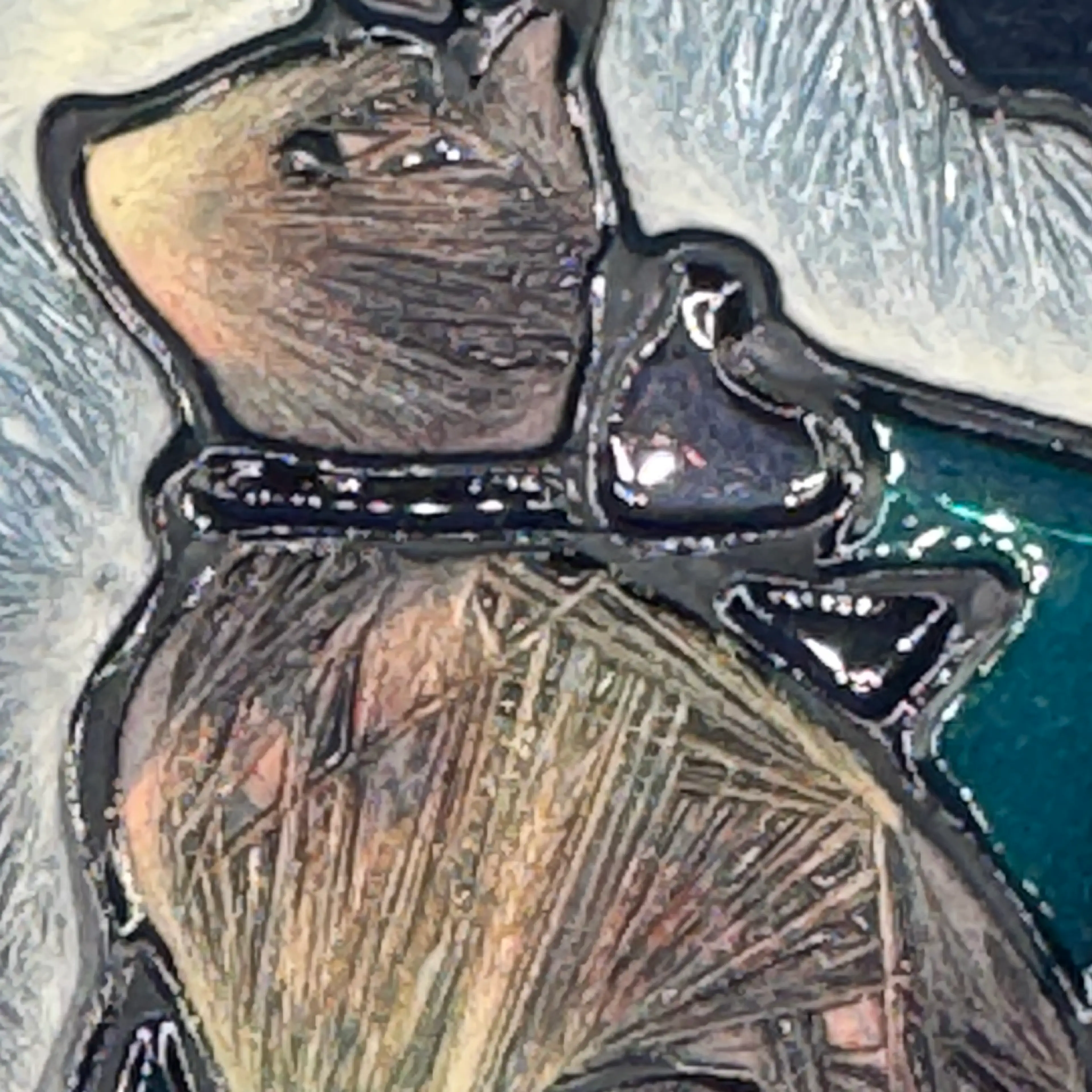 Image 3 of 9