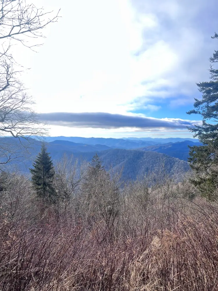 New Finds + More Valentines+ Bugs😍😍😍