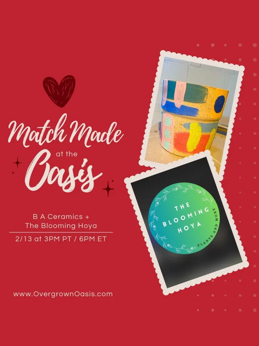 Livestream thumbnail