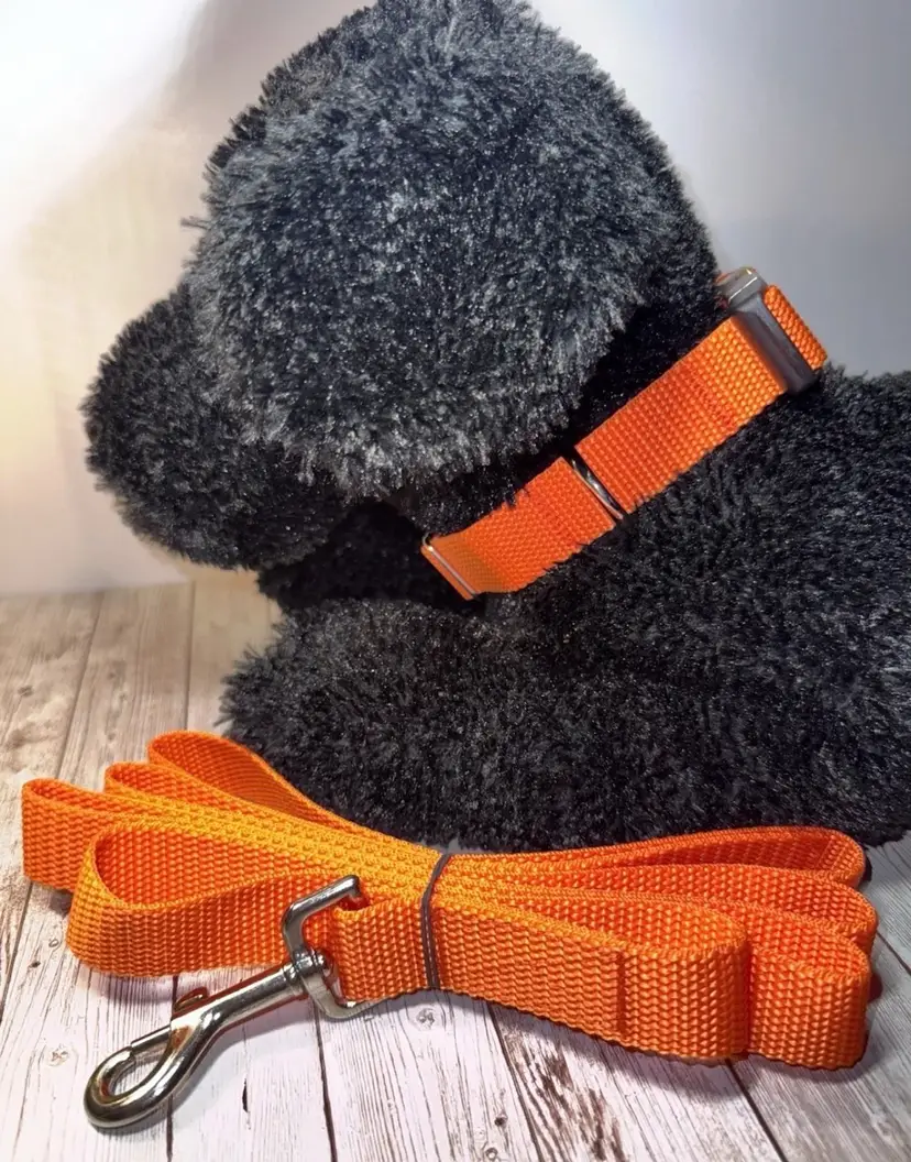 Dog Collar & Leash Orange Hunting Season Large Handmade Heavy Duty NEW