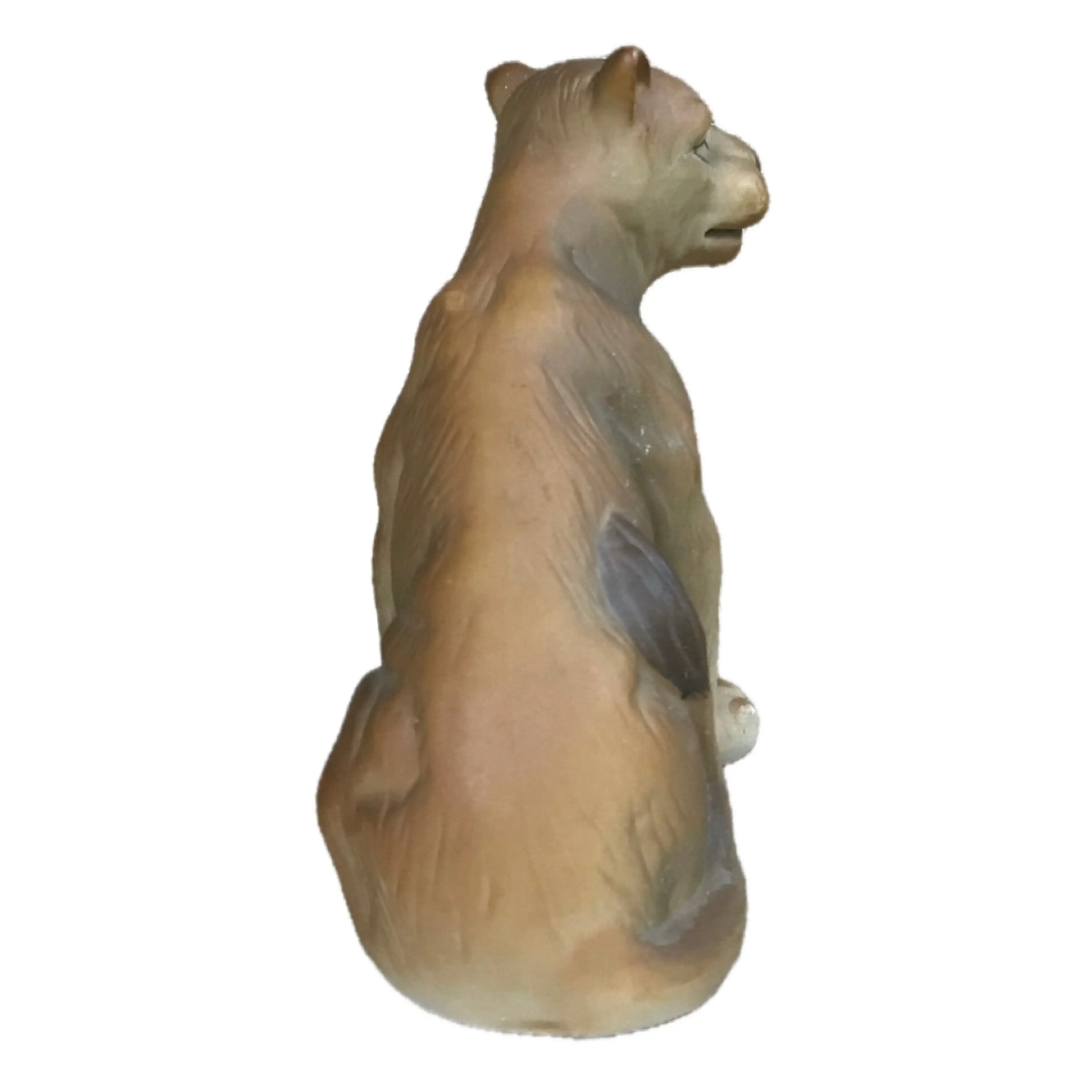 Image 4 of 5