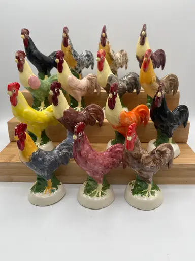 What did I Buy Recently?!  Chickens & More! 🐓