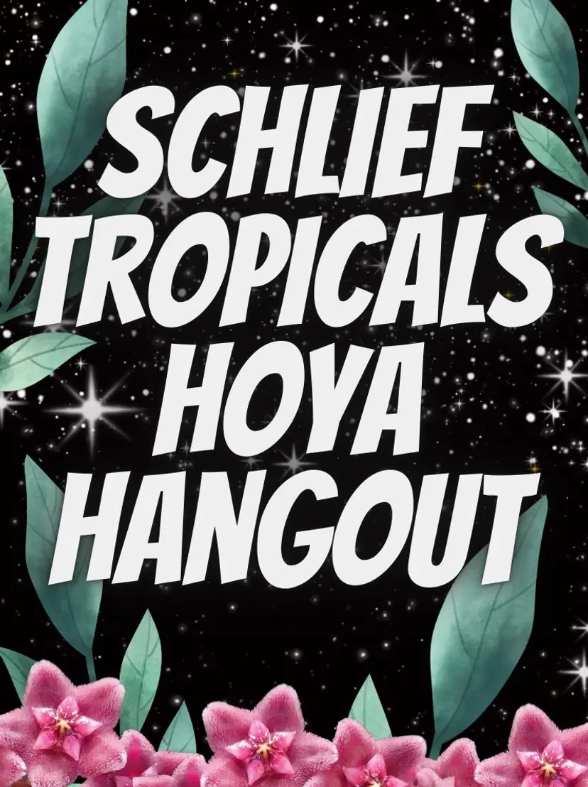 Livestream thumbnail