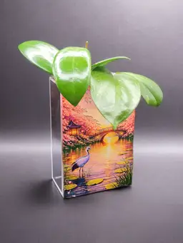 The Crane and the Cherry Blossoms Propogation Station