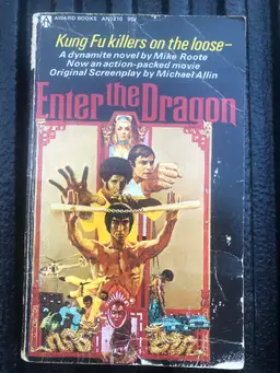 Enter the Dragon Novel - Action-Packed Adventure