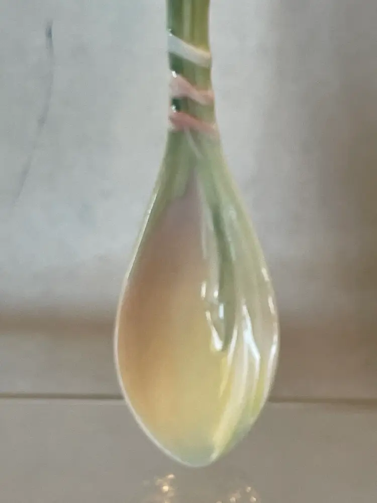 Franz Spoon FZ01547 Boxed