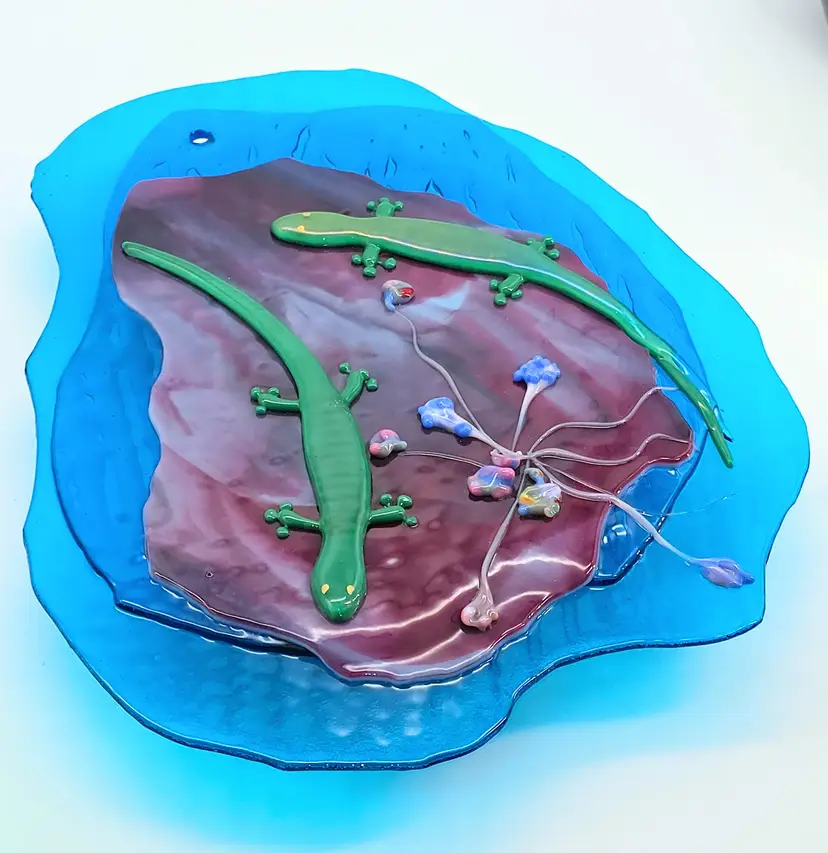 Fused glass Lizard Wall Hanging Suncatcher 12.5" x 11"