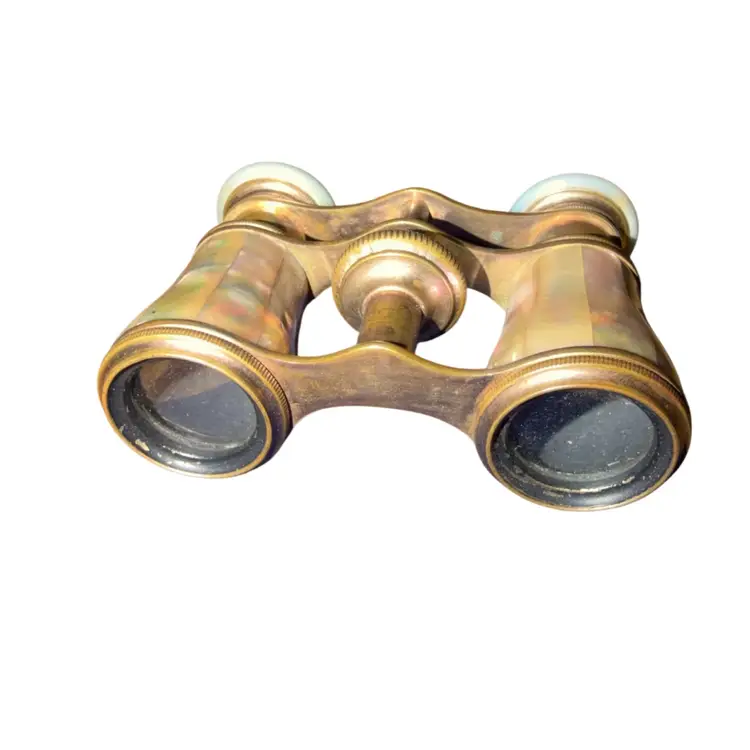1900s Verne Paris Mother of Pearl & Brass Opera Glasses