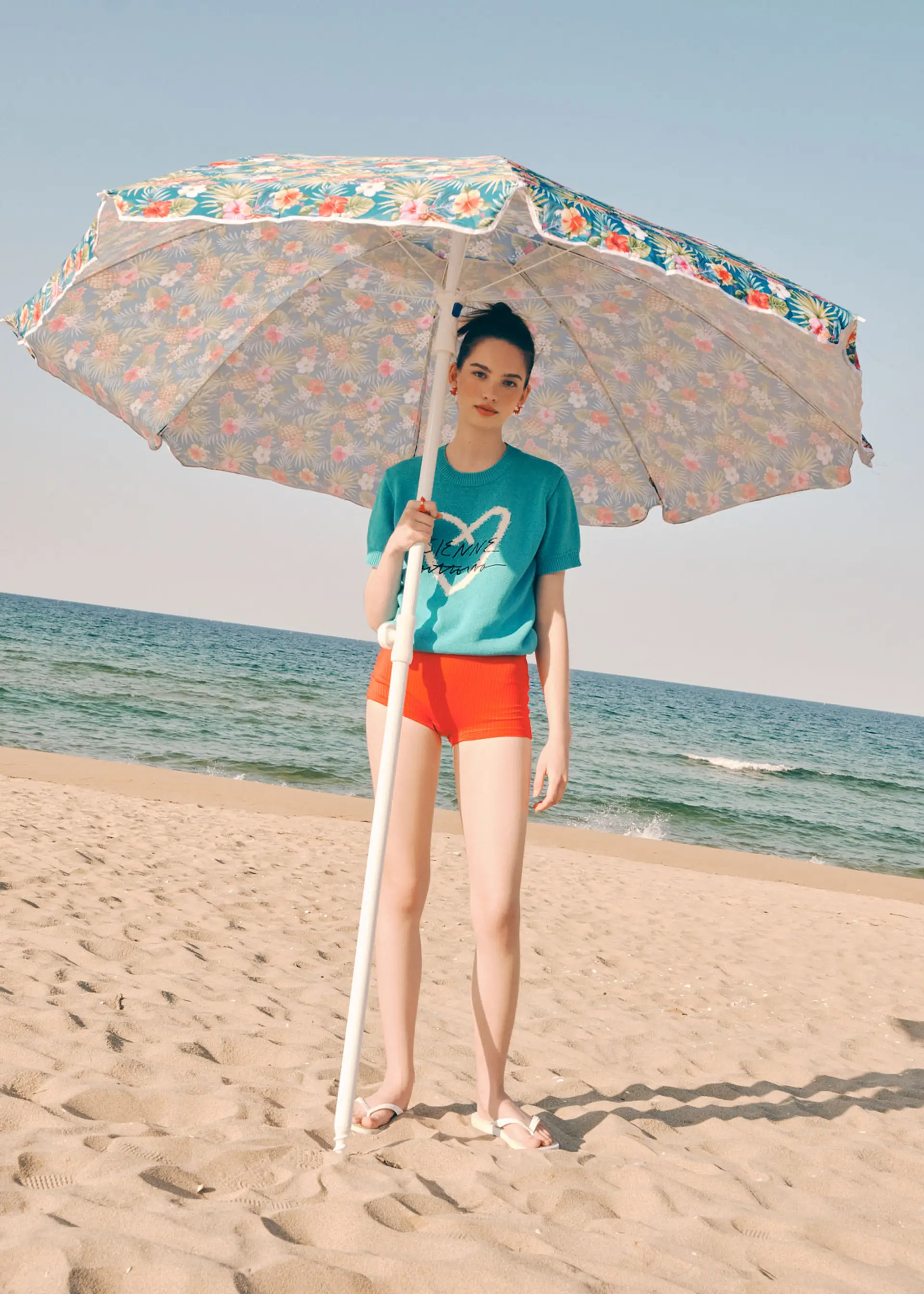 Sienne - Image 4