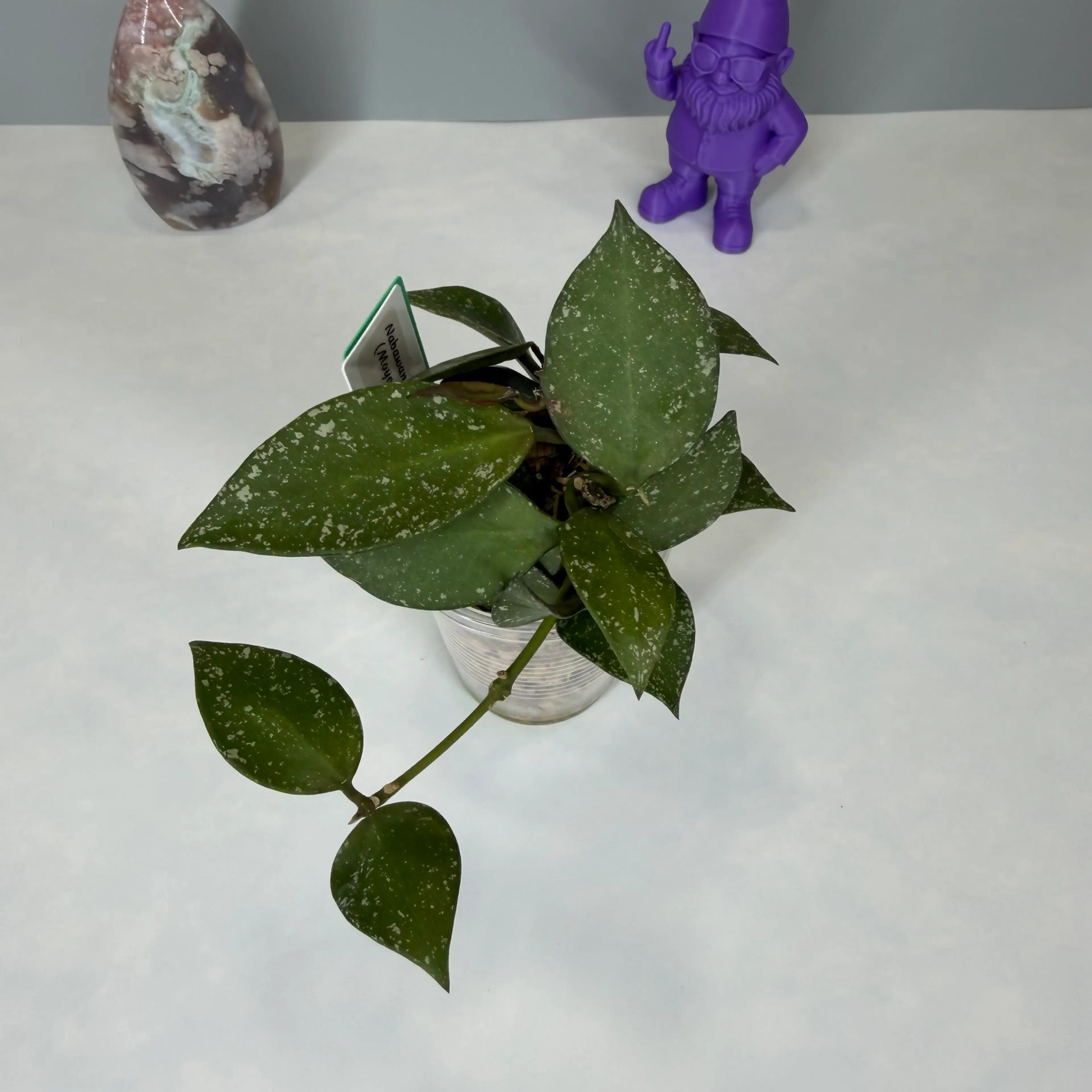 Image 3 of 4