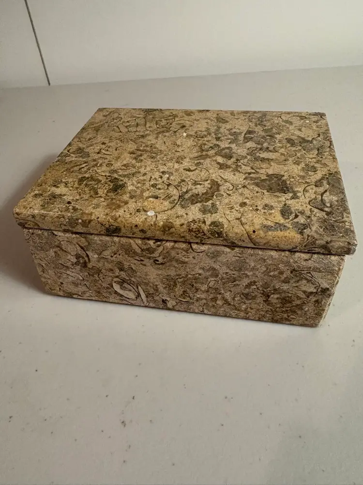 Rare, Genuine Fossil Stone Trinket/Jewelry Box