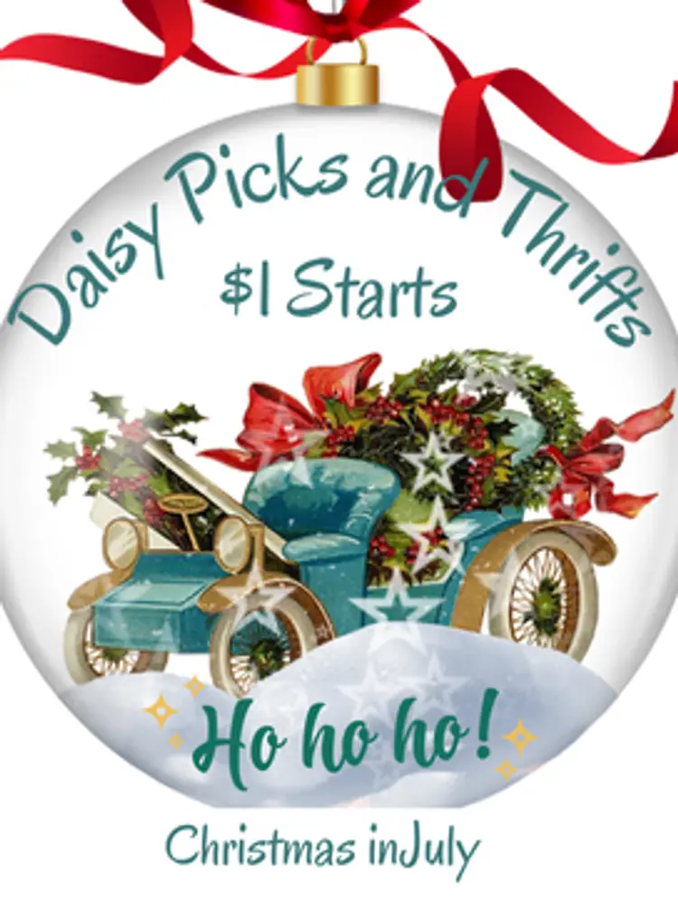 Christmas 🎄 in July Dollar Train