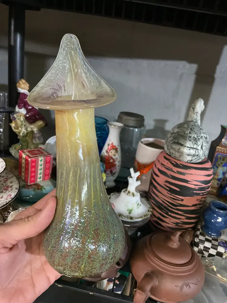 Shop my Messy Shelves 🤪