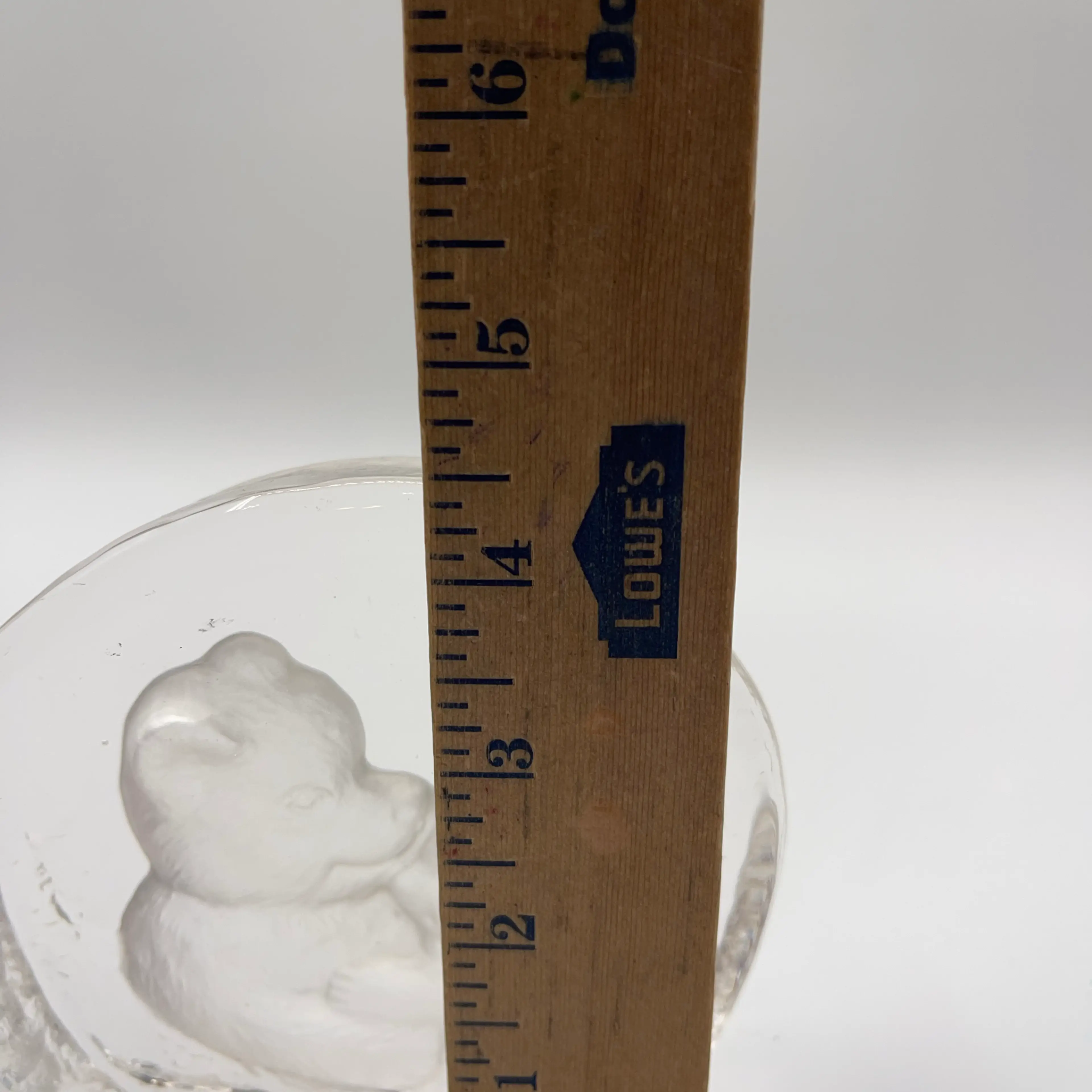Image 5 of 5