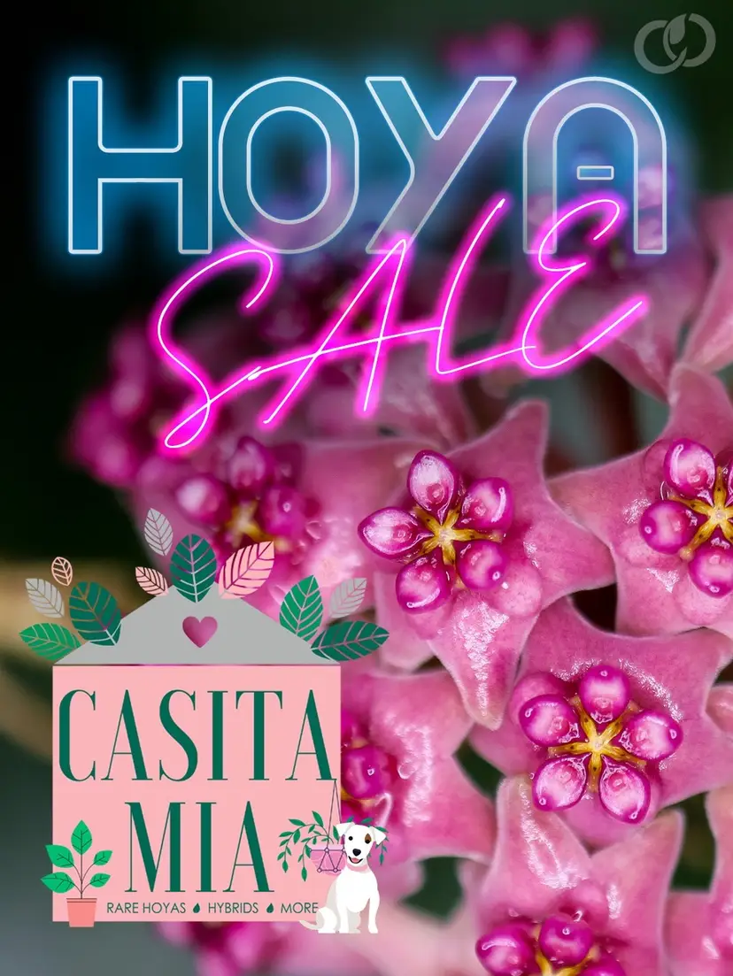 Livestream thumbnail