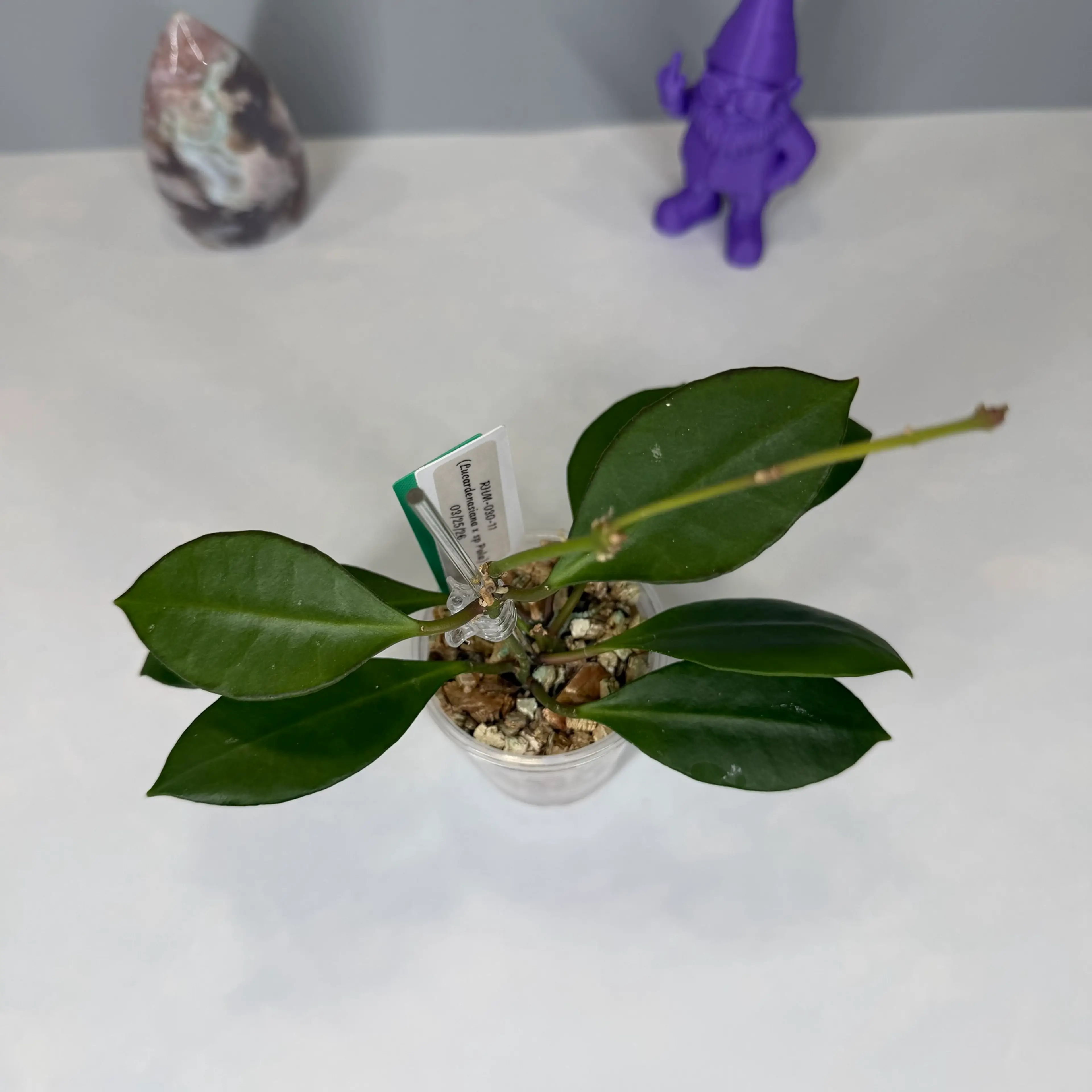 Image 2 of 2