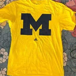 Adidas Michigan Wolverine’s T-shirt Large