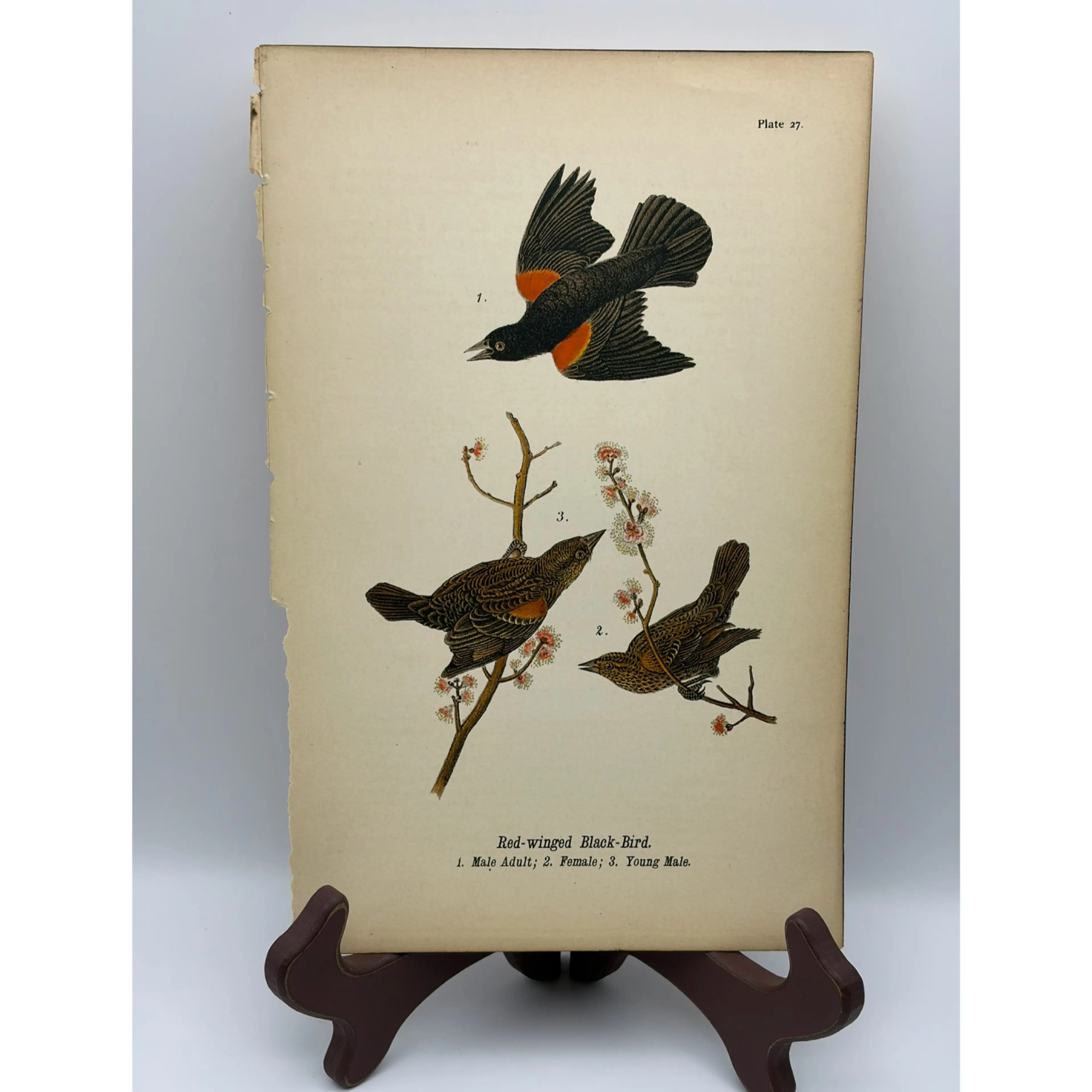 Image 1 of 9