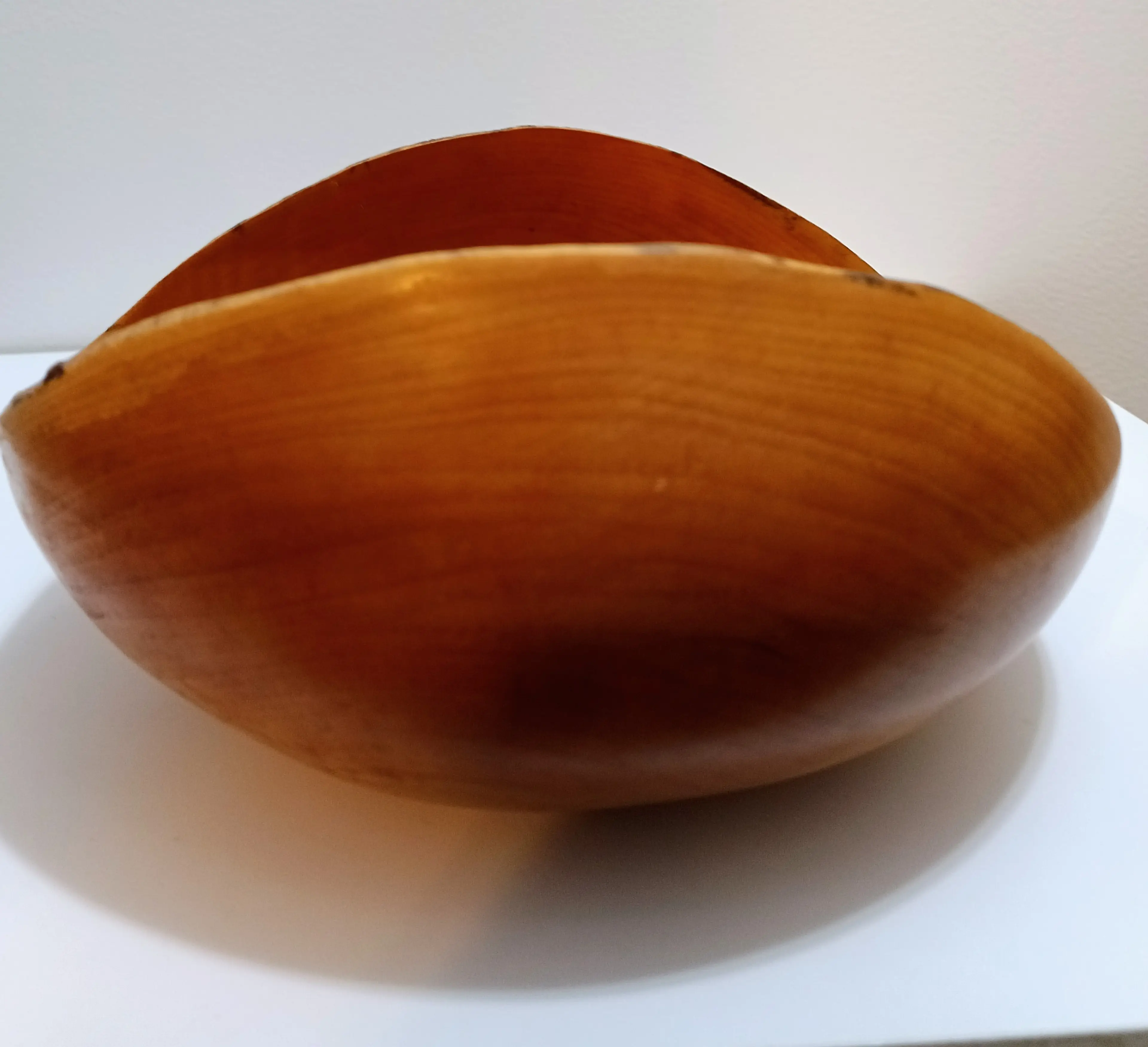 Image 4 of 5