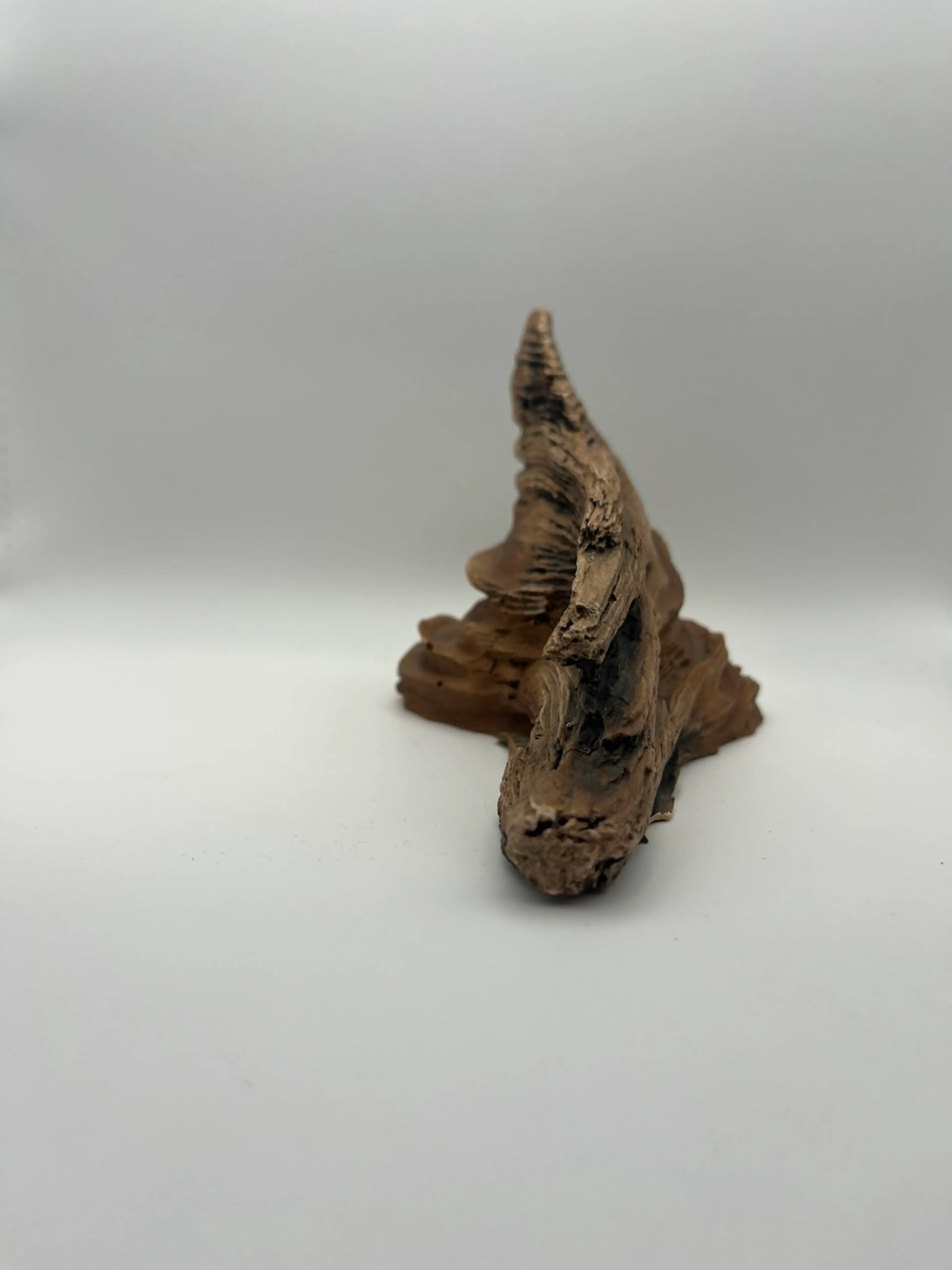 Image 3 of 7
