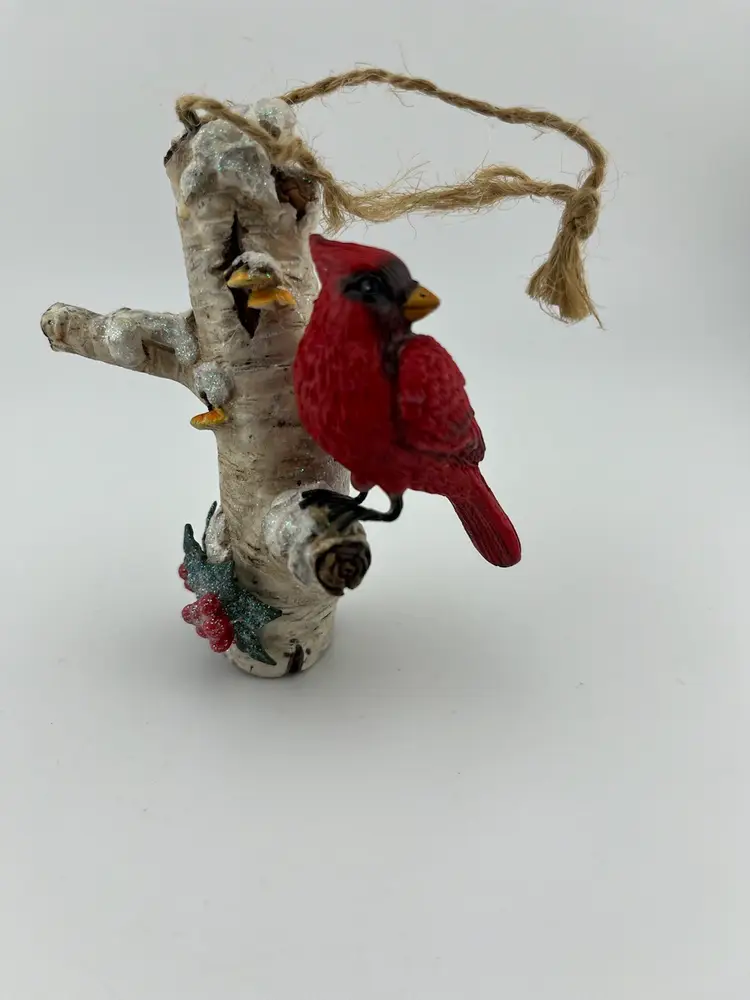 Cardinal on Birch Branch with Holly and Berries