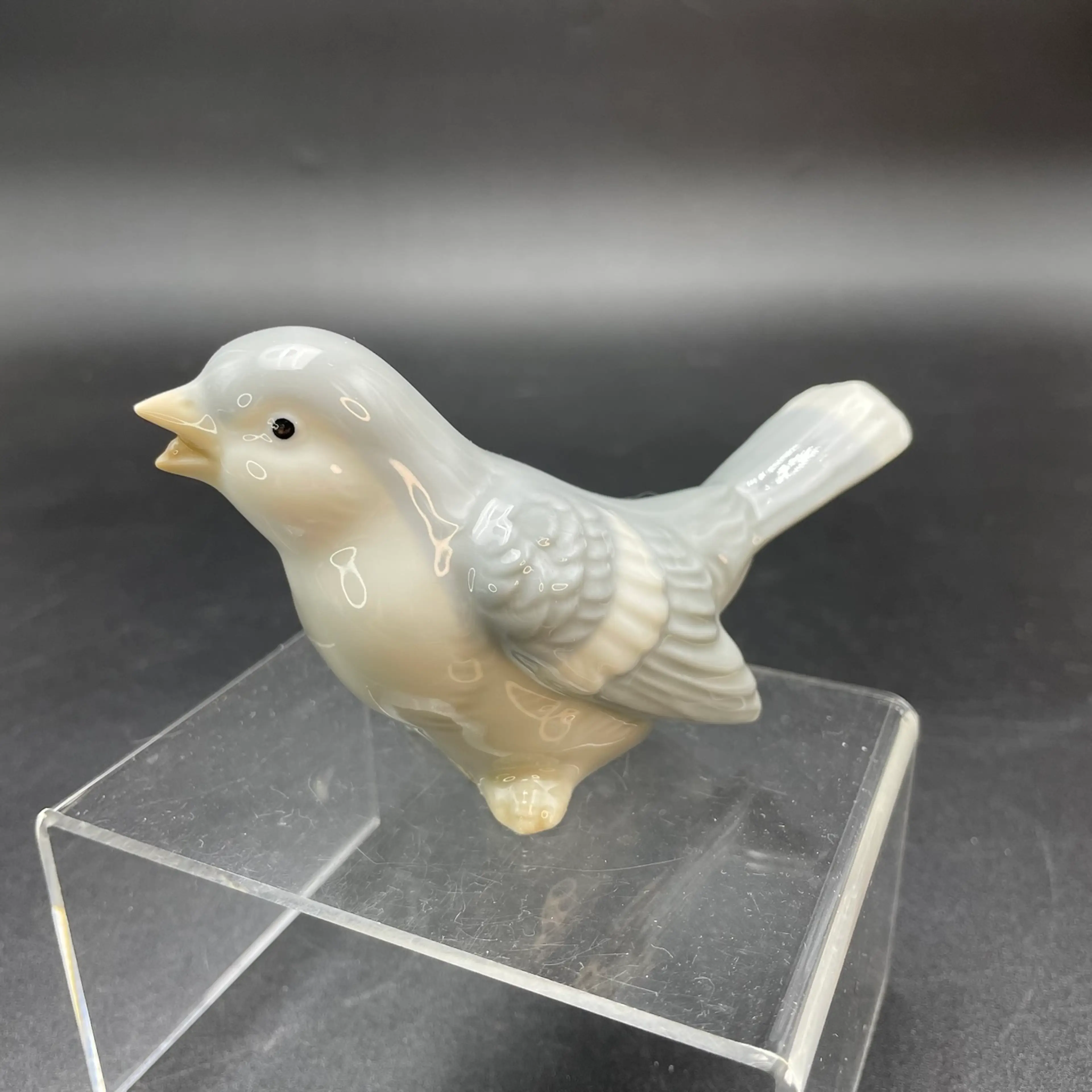Image 3 of 14