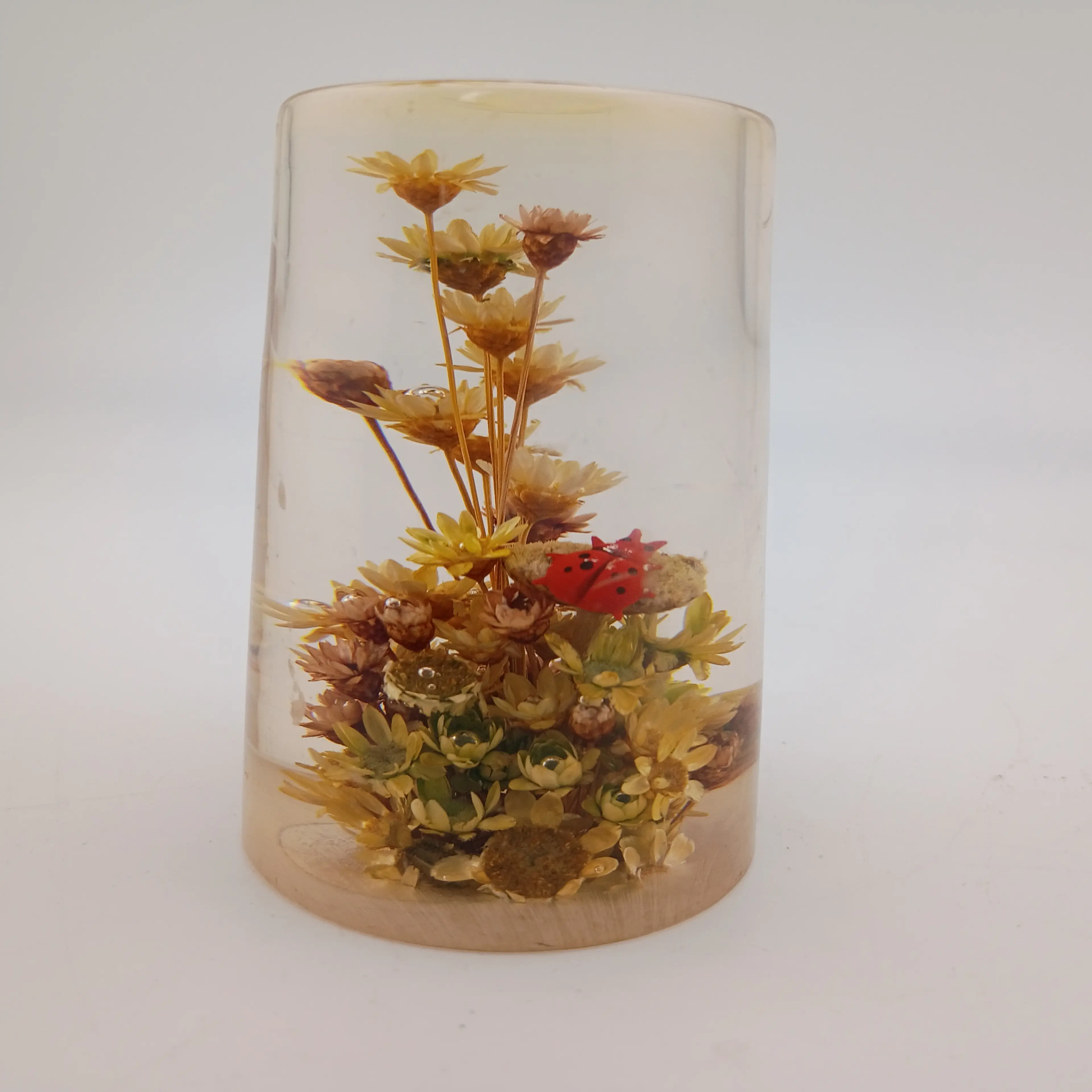 Image 3 of 6